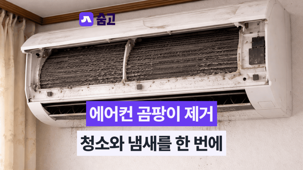 벽걸이 에어컨 청소를 위해 오염된 송풍팬을 분리하는 전문가의 손길