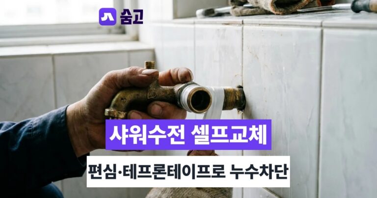 욕실샤워수전교체 - 욕실샤워수전교체 방법, 편심·테프론테이프로 누수 막기